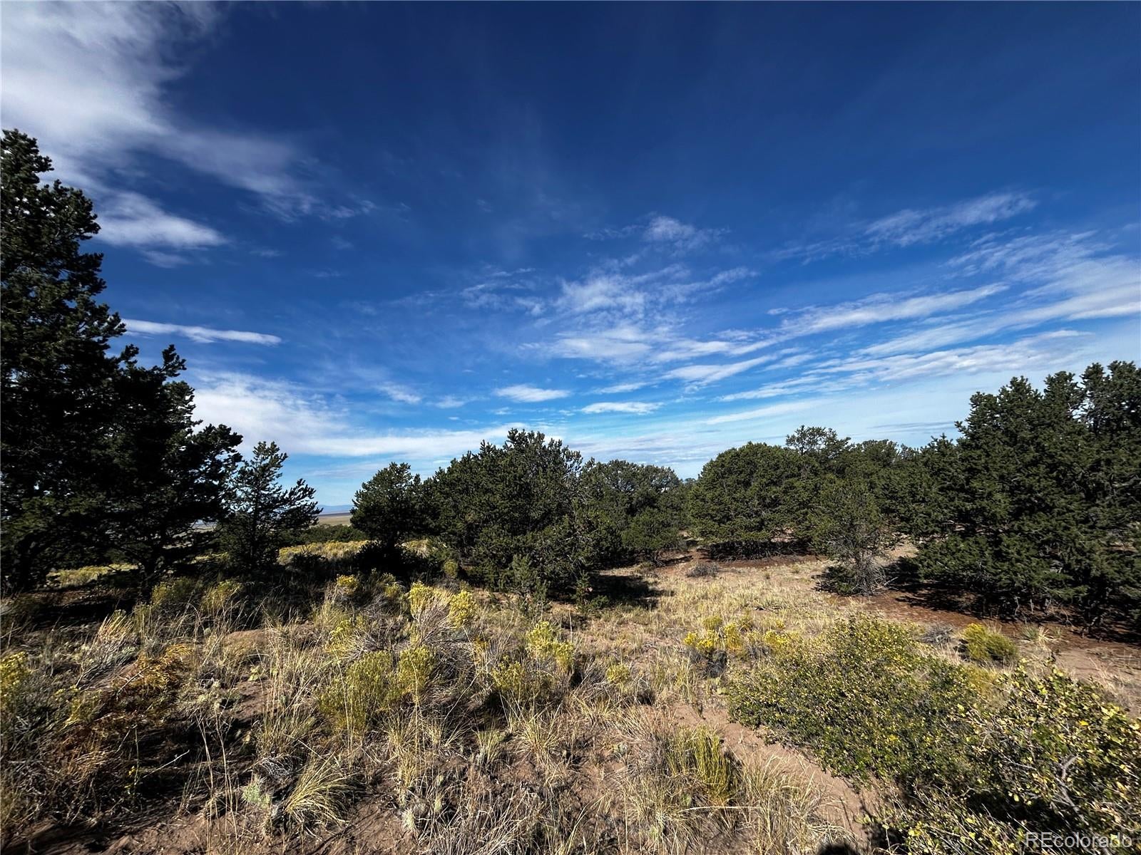 1411 W Badger Road