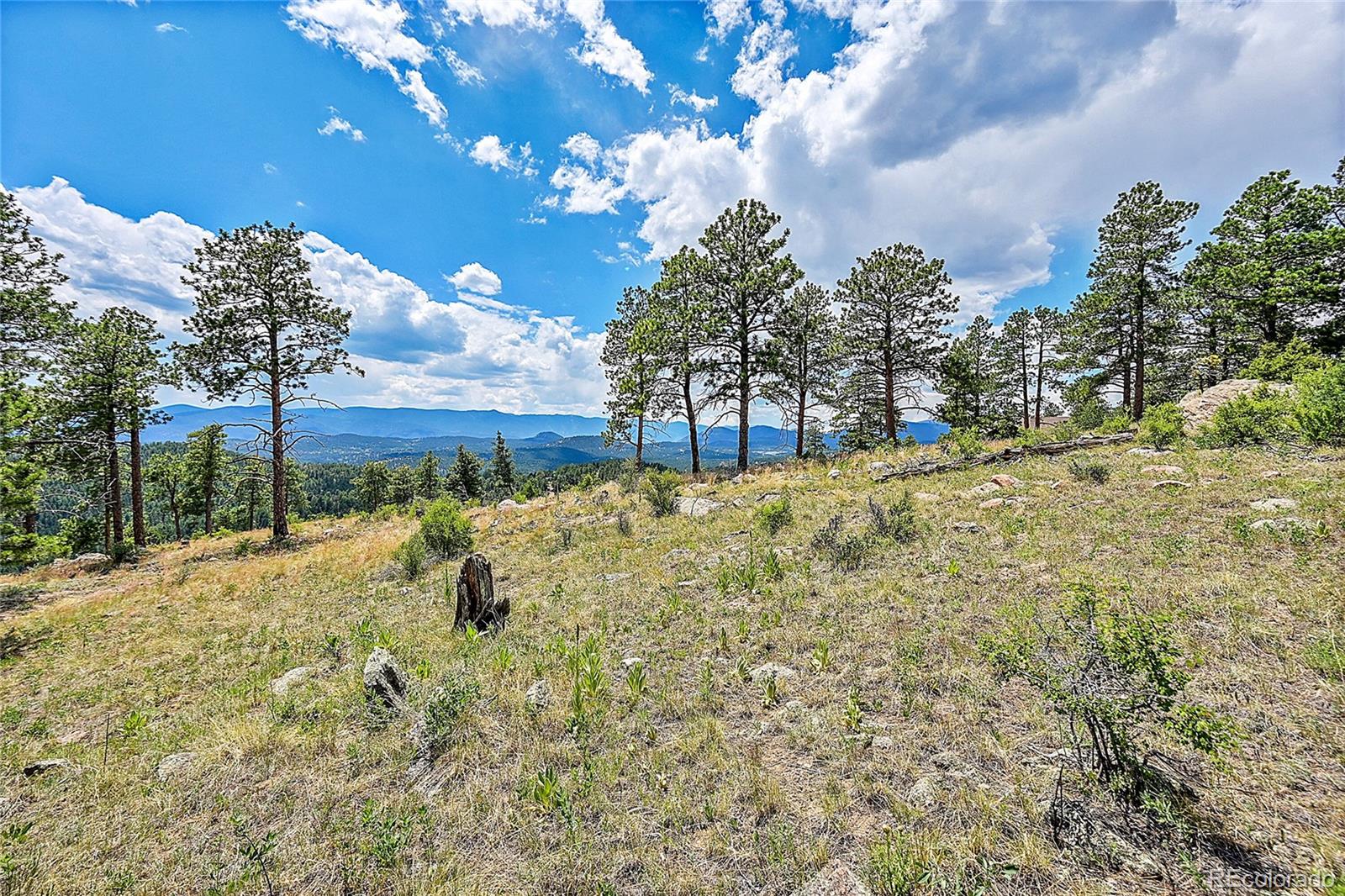 33550 Mount Wilson Trail