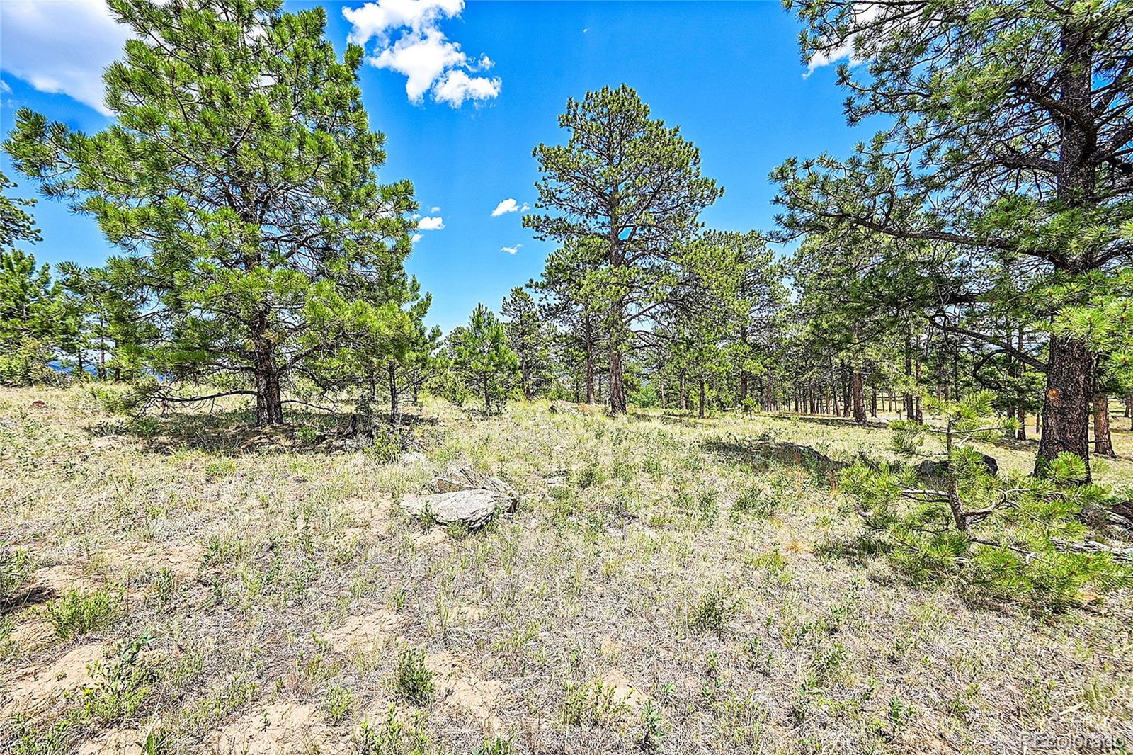 33550 Mount Wilson Trail