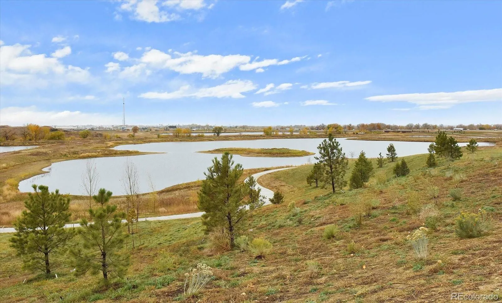 Firestone, Colorado 80504, United States, 4 Bedrooms Bedrooms, ,3 BathroomsBathrooms,Residential,Active,119006