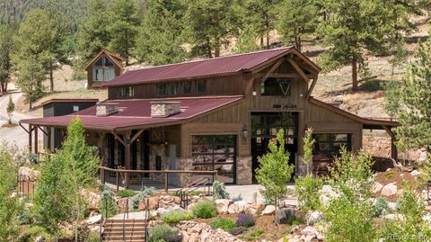 20859 County Road 77 Lake George CO 80827