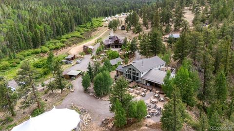 20859 County Road 77 Lake George CO 80827