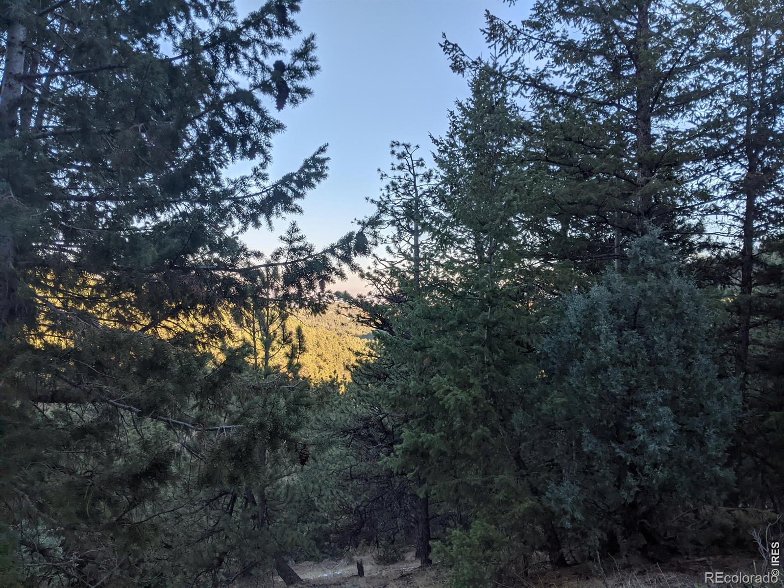 105 Millionaire Drive E