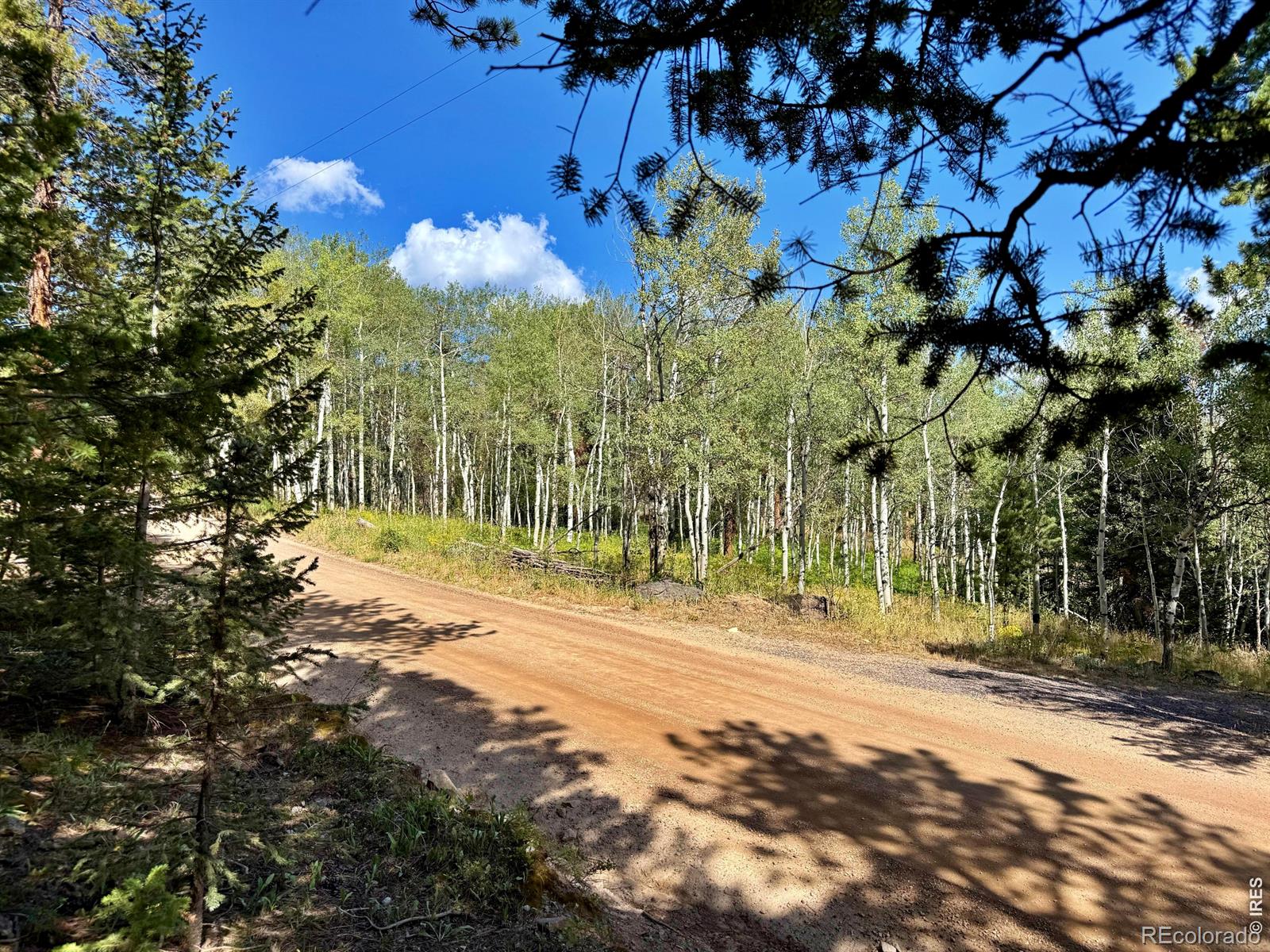 312 Ridge Road, Ward, CO, 80481 312 Ridge Road