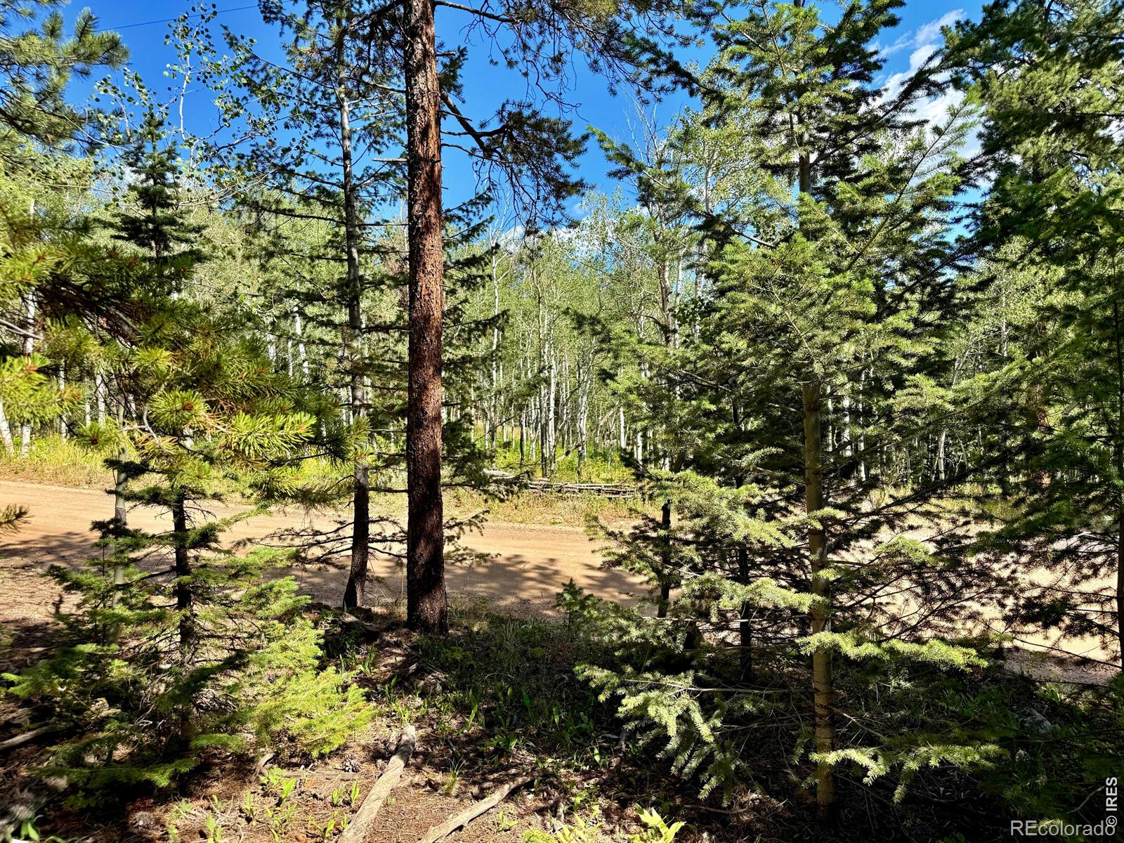 312 Ridge Road, Ward, CO, 80481 312 Ridge Road