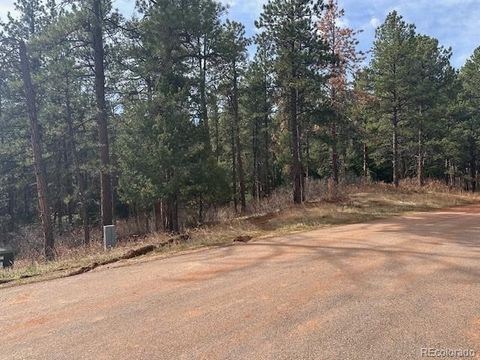 8169 Bannock Drive Larkspur Co 80118