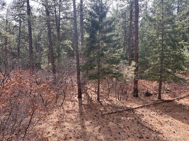 8169 Bannock Drive, Larkspur, CO, 80118 8169 Bannock Drive