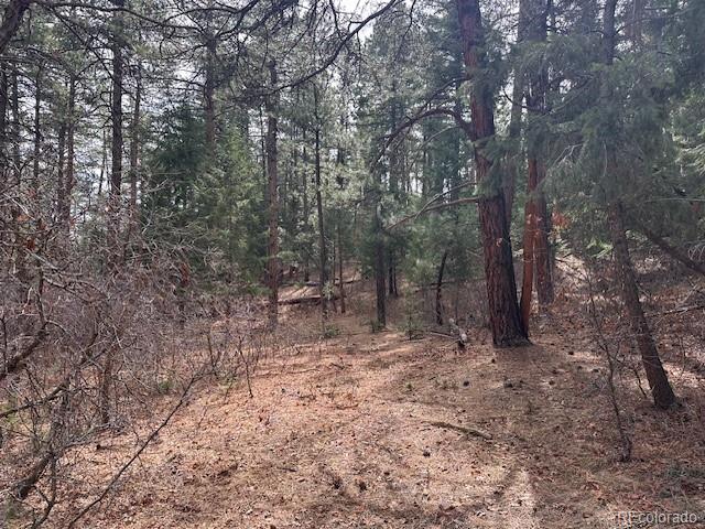 8169 Bannock Drive, Larkspur, CO, 80118 8169 Bannock Drive