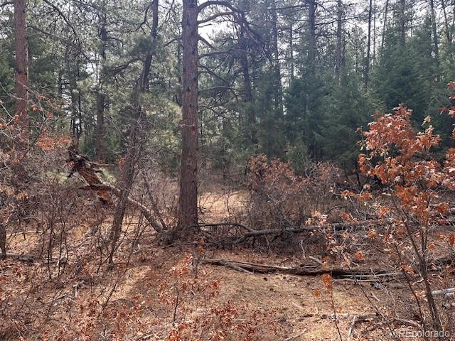 8169 Bannock Drive, Larkspur, CO, 80118 8169 Bannock Drive