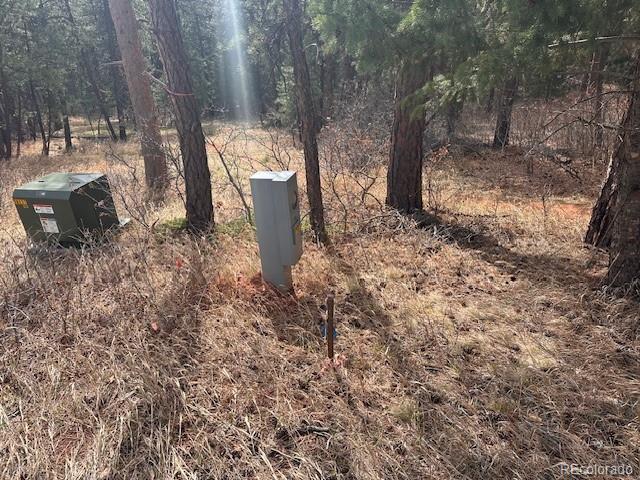 8169 Bannock Drive, Larkspur, CO, 80118 8169 Bannock Drive