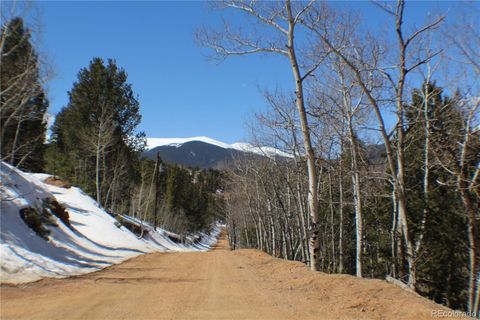 231 Wise Road, Bailey, CO 80421 - #: 9332776