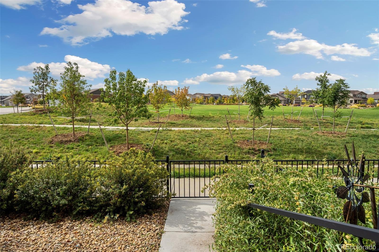 3321 Red Mountain Drive, Loveland, CO, 80538 4 3321 Red Mountain Drive