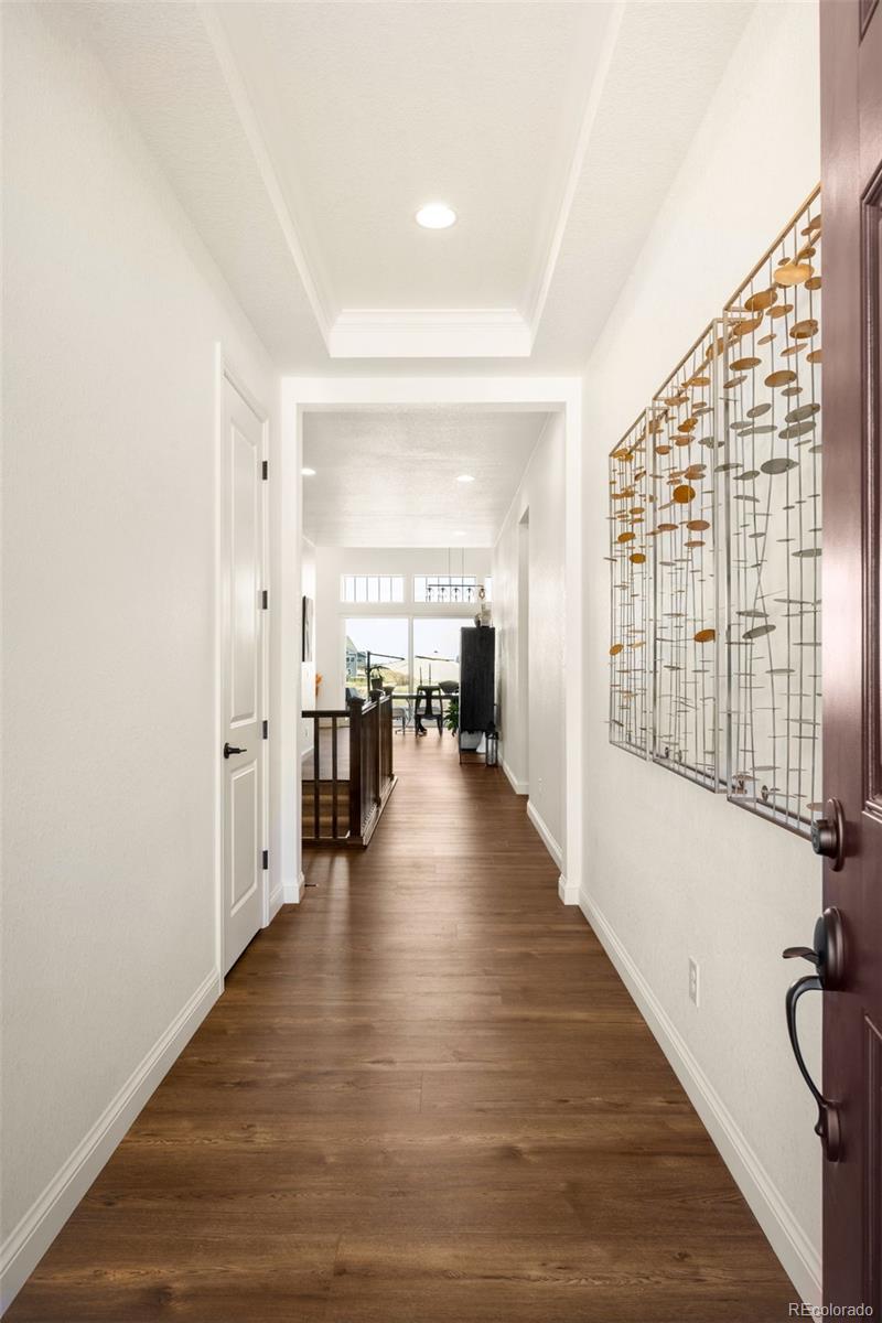 3153 Carabiner Street