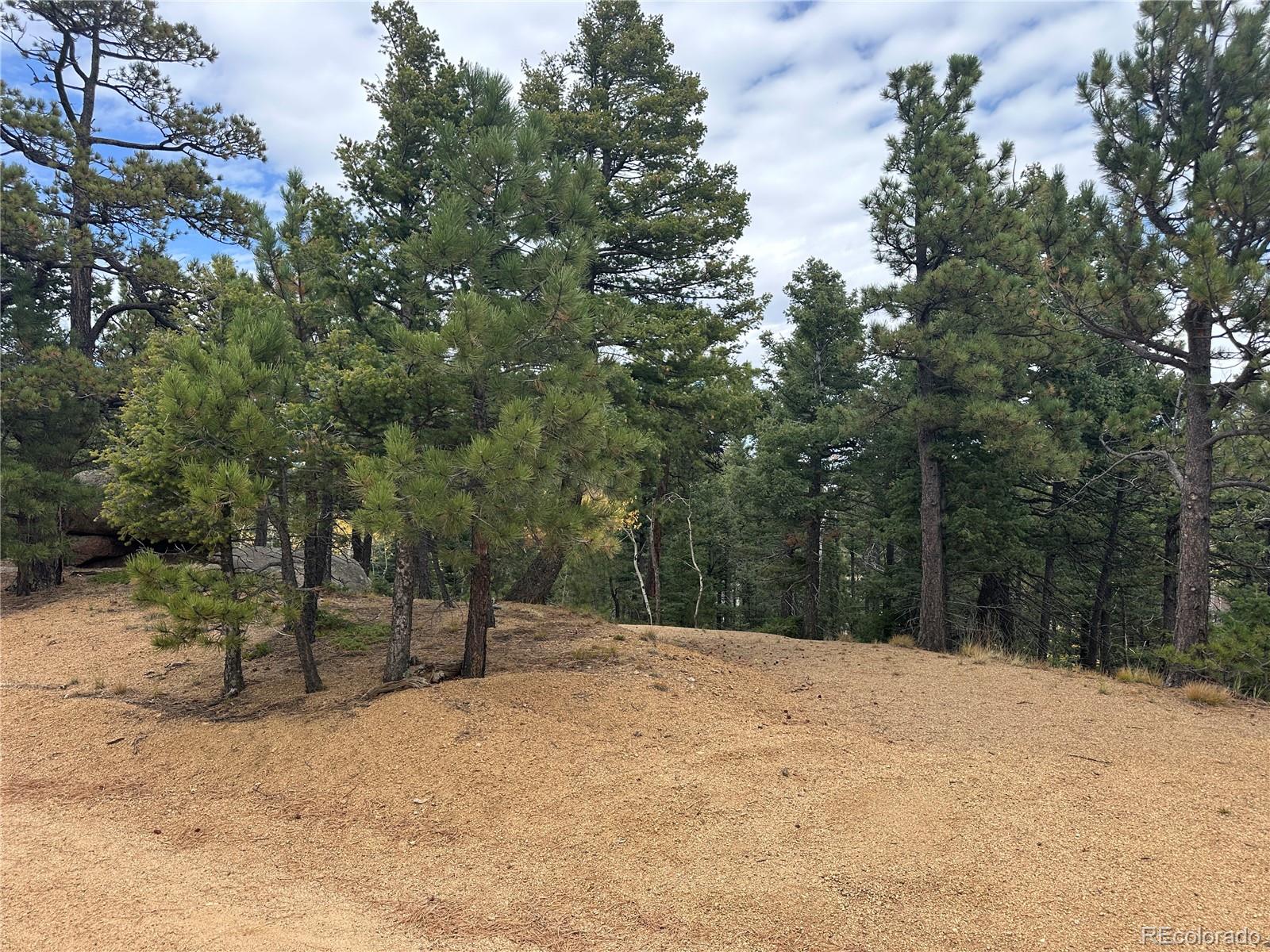 316 Summit Ridge