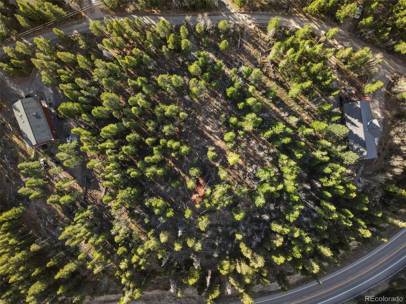 84 Severance Lodge Road