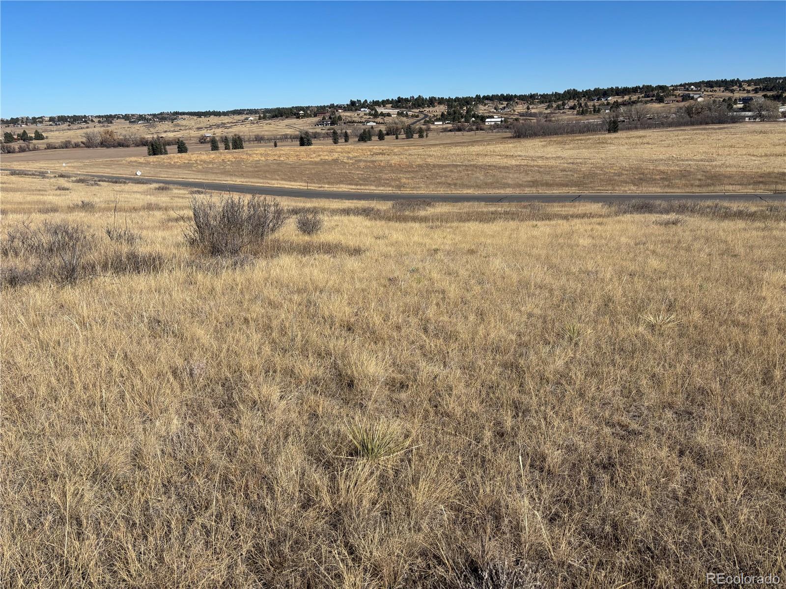 9375 Red Primrose Street