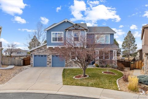 Photo of 4755 Mustang Run Place, Castle Rock, CO 80109 (MLS # 5787722)