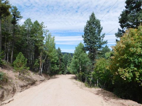 13670 Spruce Creek Circle Larkspur Co 80118