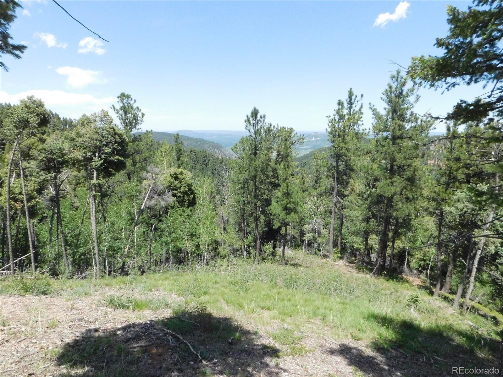 13670 Spruce Creek Circle, Larkspur, CO, 80118 13670 Spruce Creek Circle