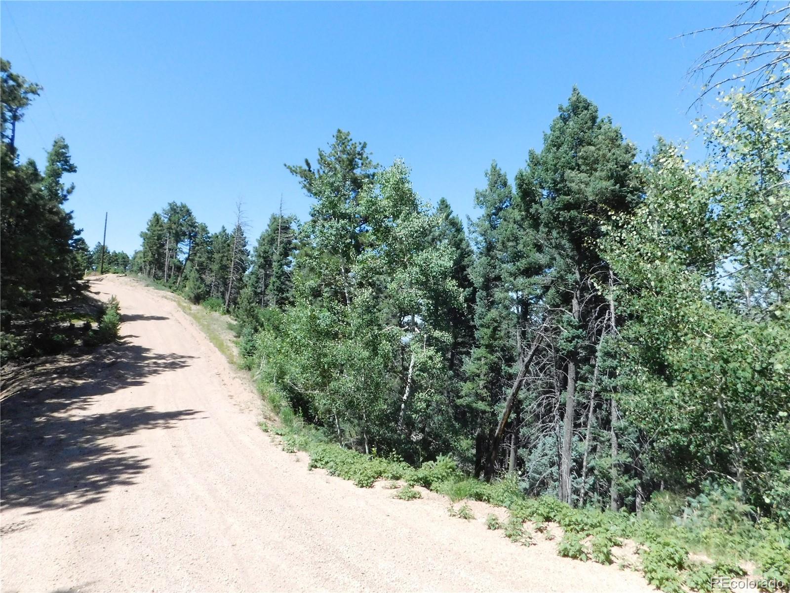 13670 Spruce Creek Circle, Larkspur, CO, 80118 13670 Spruce Creek Circle