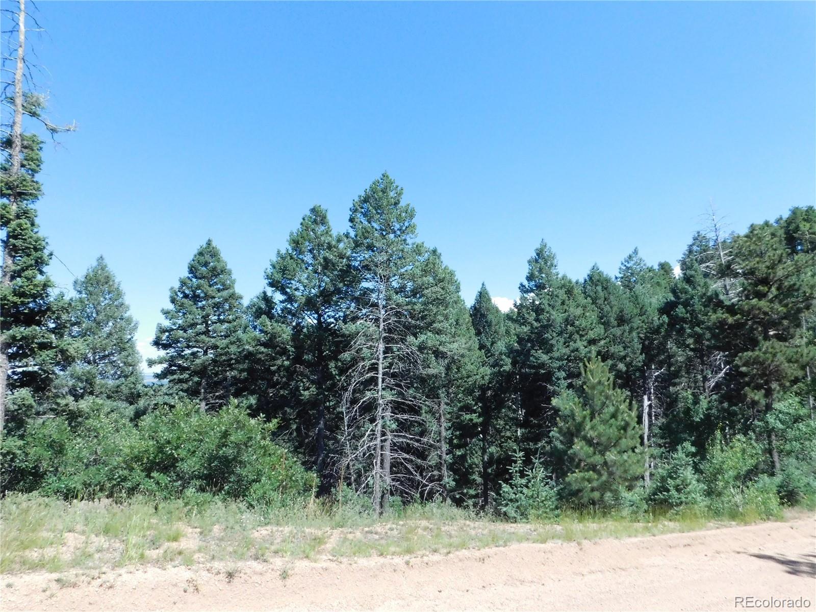 13670 Spruce Creek Circle, Larkspur, CO, 80118 13670 Spruce Creek Circle