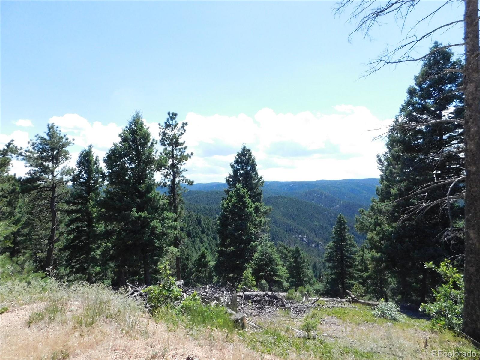 13670 Spruce Creek Circle, Larkspur, CO, 80118 13670 Spruce Creek Circle