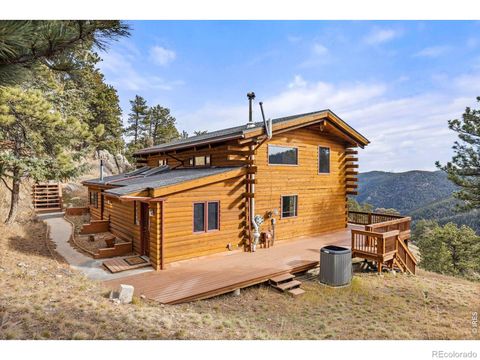 3907 Ridge Road Nederland CO 80466