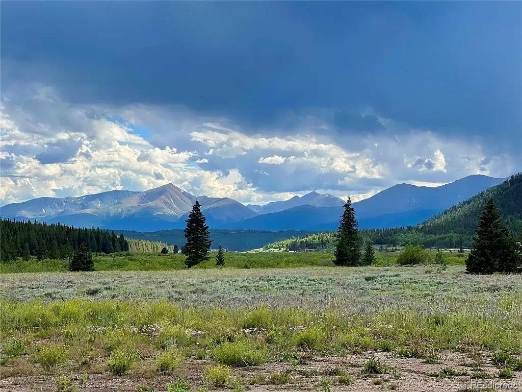 2926 Highway 91