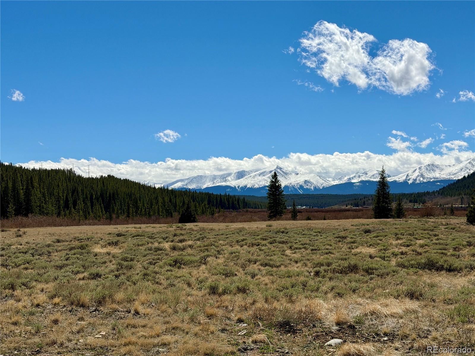 2926 Highway 91