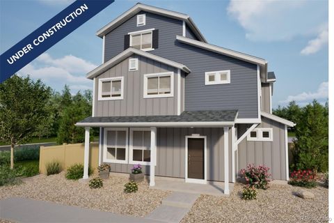 46561 Sunflower Lane Bennett CO 80102
