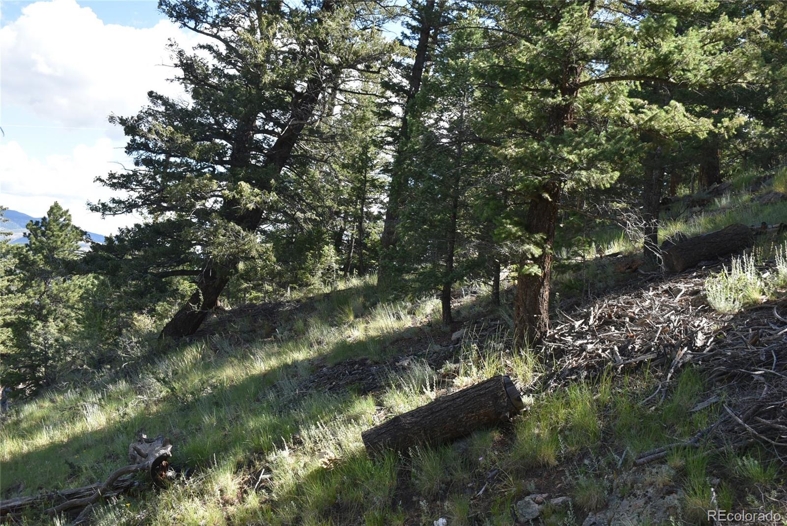 000 Upper Moss Rock Road