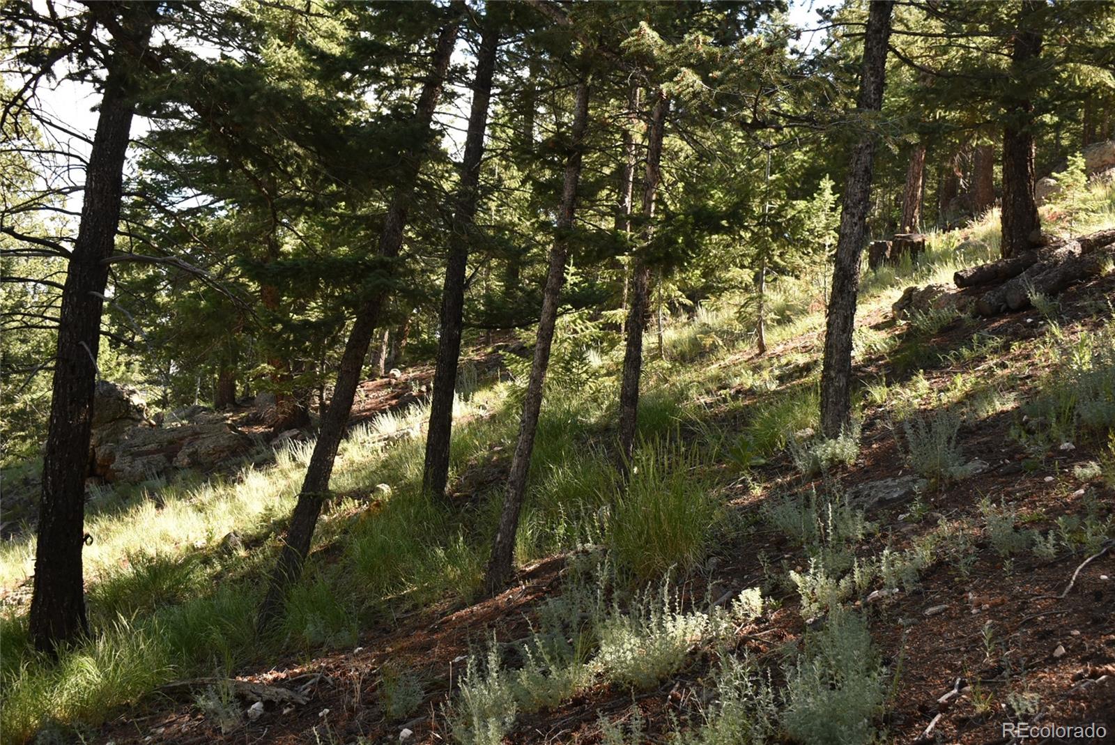 000 Upper Moss Rock Road