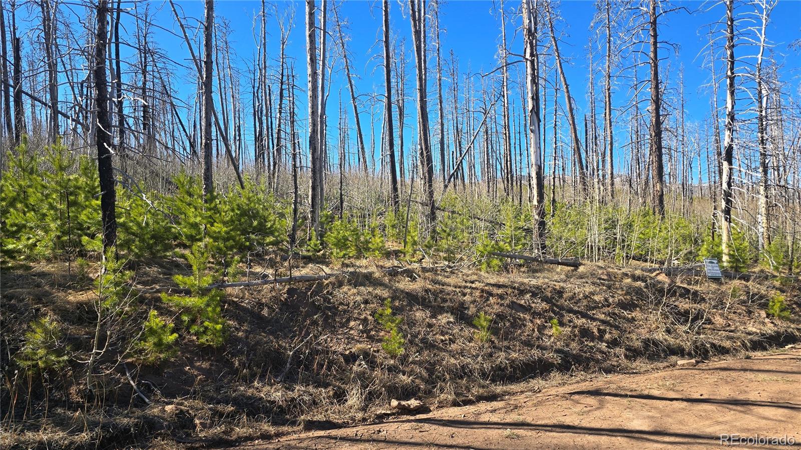 Lot 1470 Von Heyl Lane