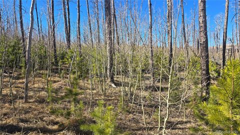 Lot 1470 Von Heyl Lane Fort Garland CO 81133