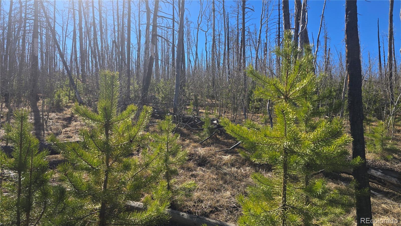 Lot 1470 Von Heyl Lane