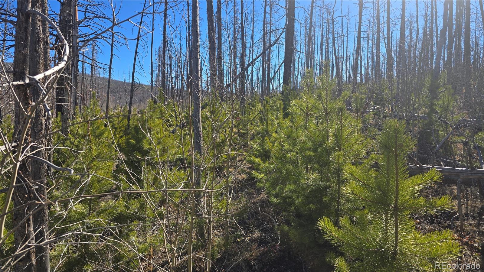 Lot 1470 Von Heyl Lane