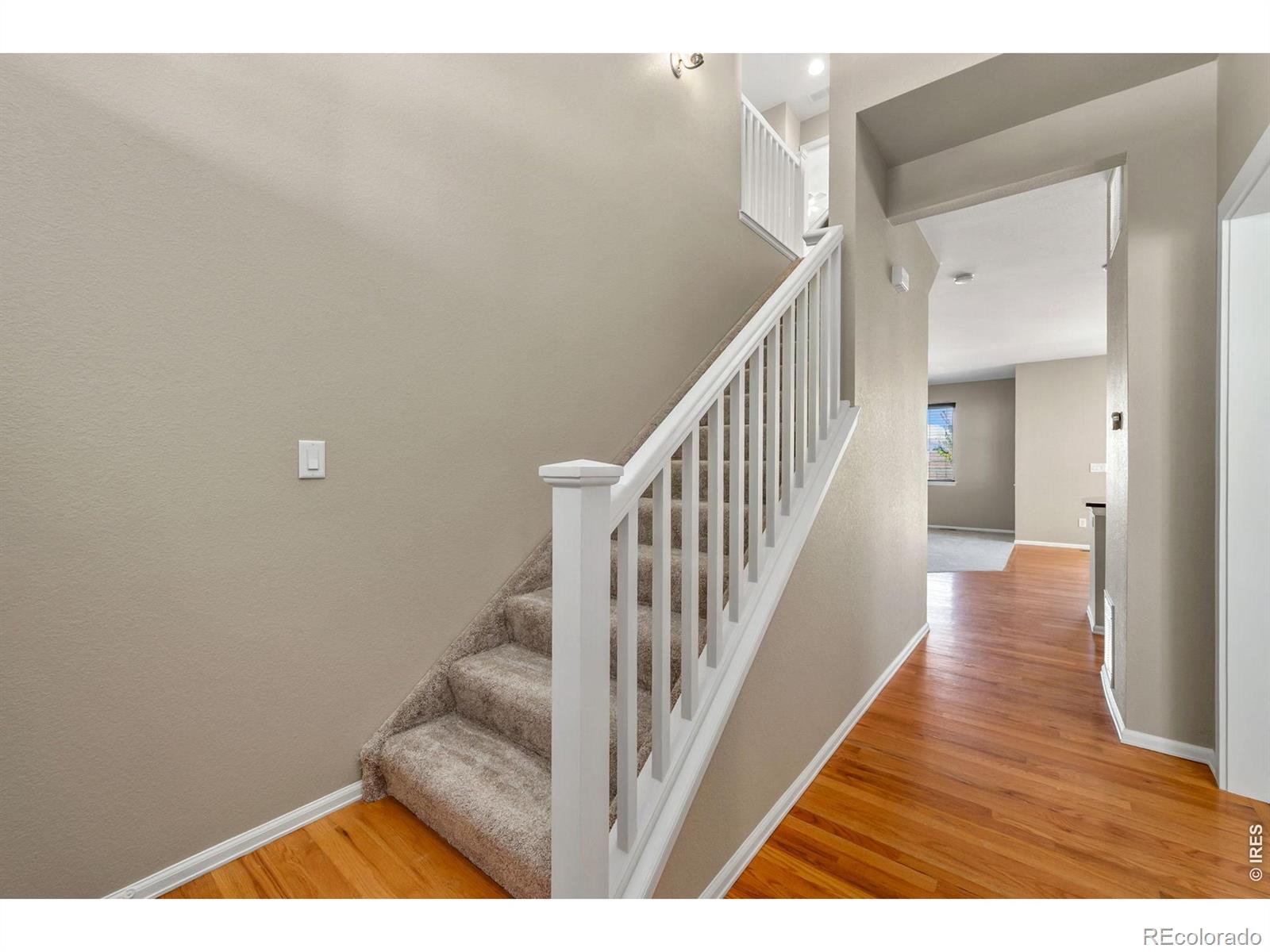 8597 Raspberry Drive