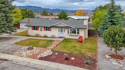 106 Dartmouth Drive Buena Vista CO 81211