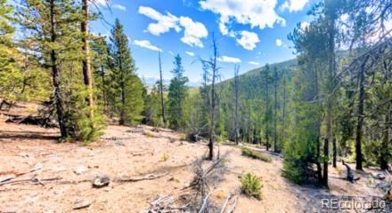 ADDRESS PRIVATE, LEADVILLE, CO 80461 - Image fe7dbf7fa93bf4acfd32095023599e7d/1267170495