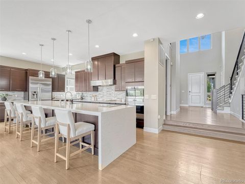 9395 Night Star Place Lone Tree CO 80124