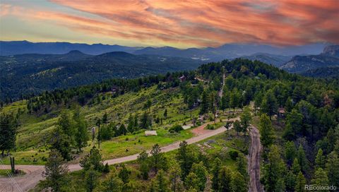 33888 Mineral Lane Pine CO 80470