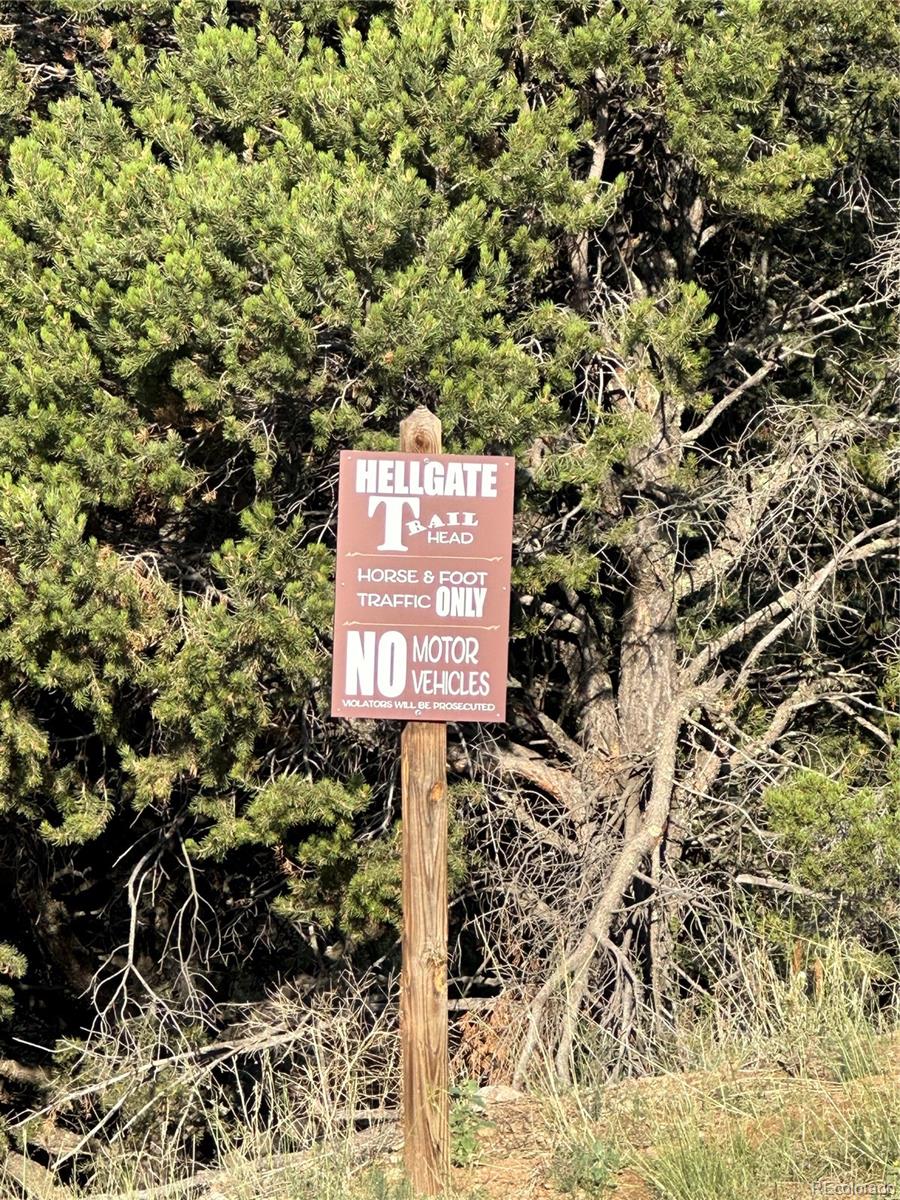 Ponderosa Trail