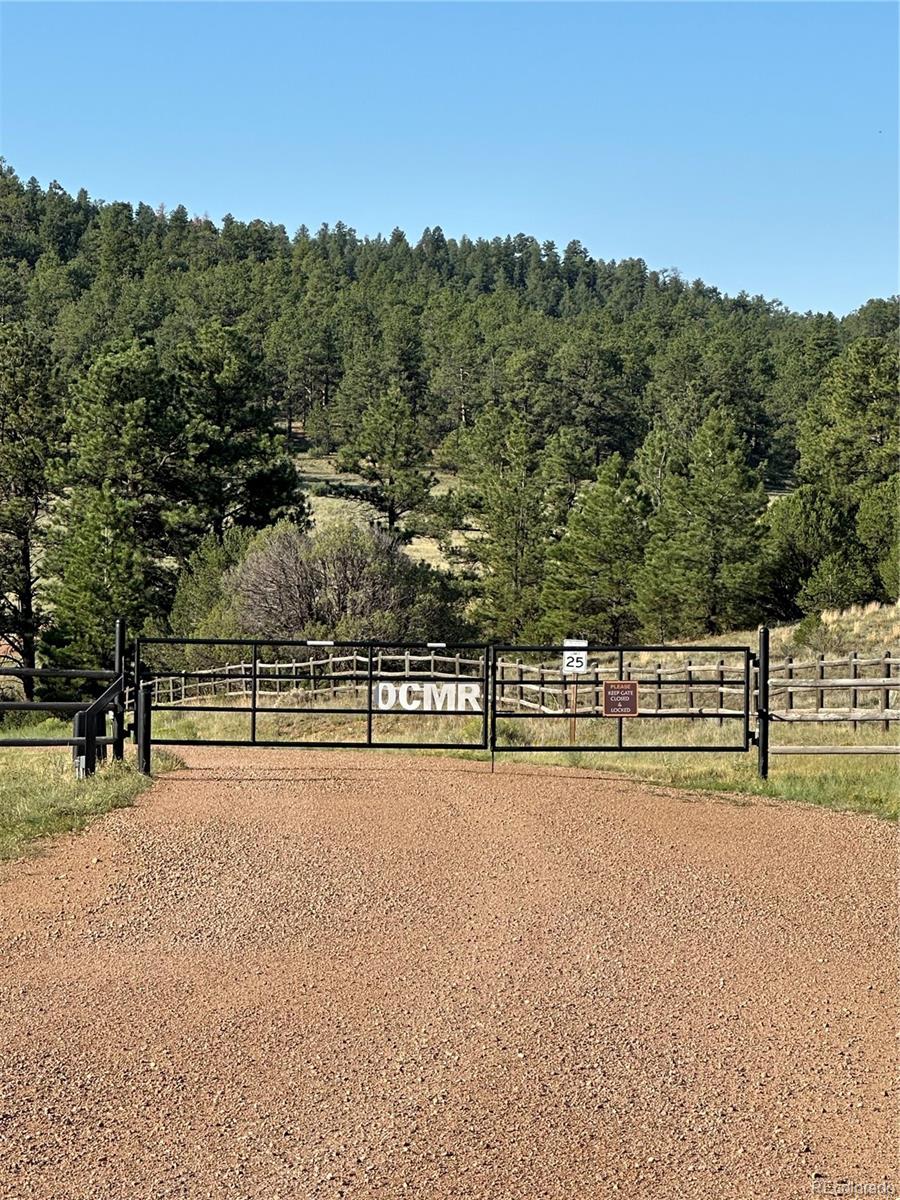 Ponderosa Trail