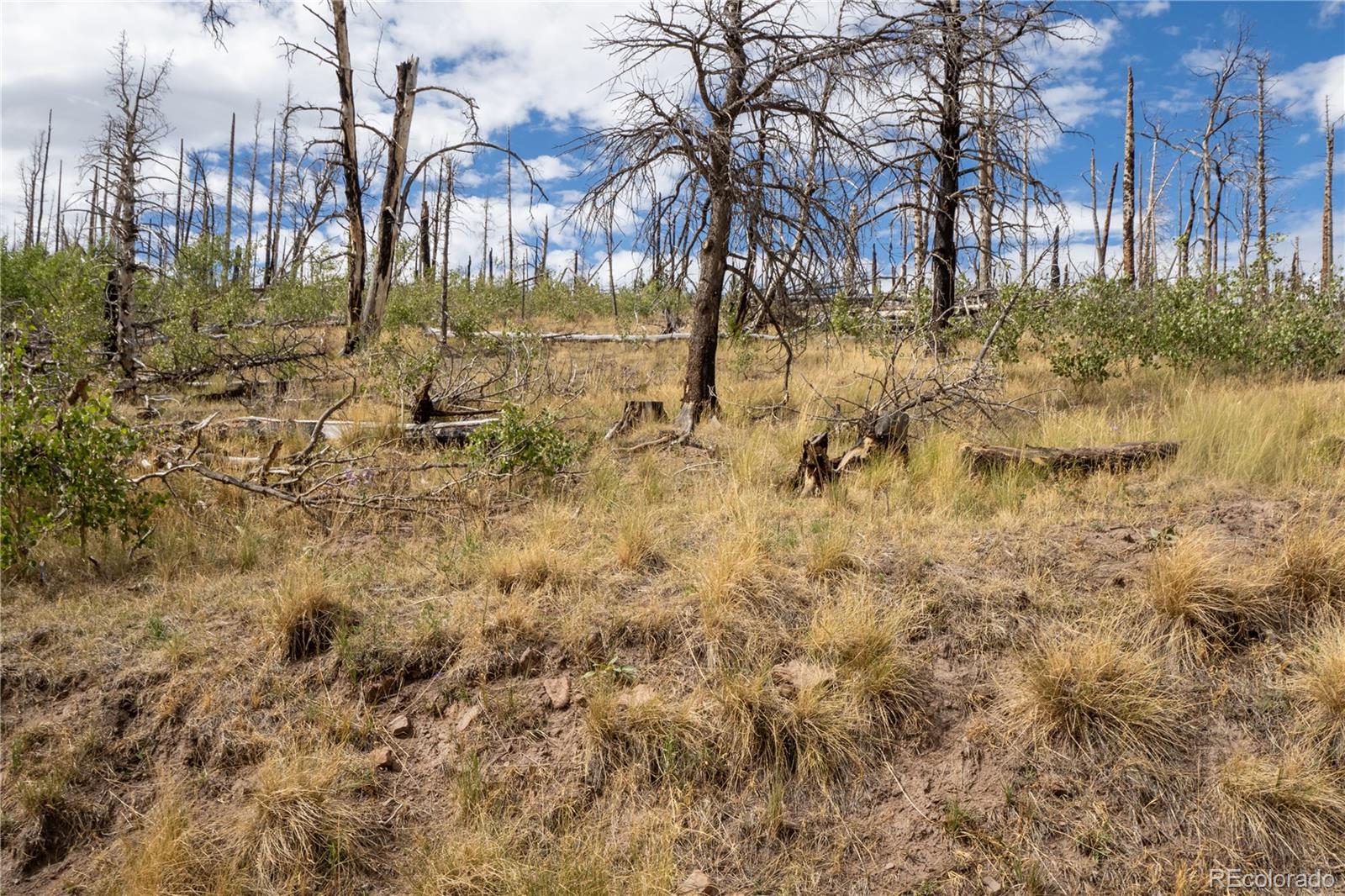 Lot 2748 Grojean Drive