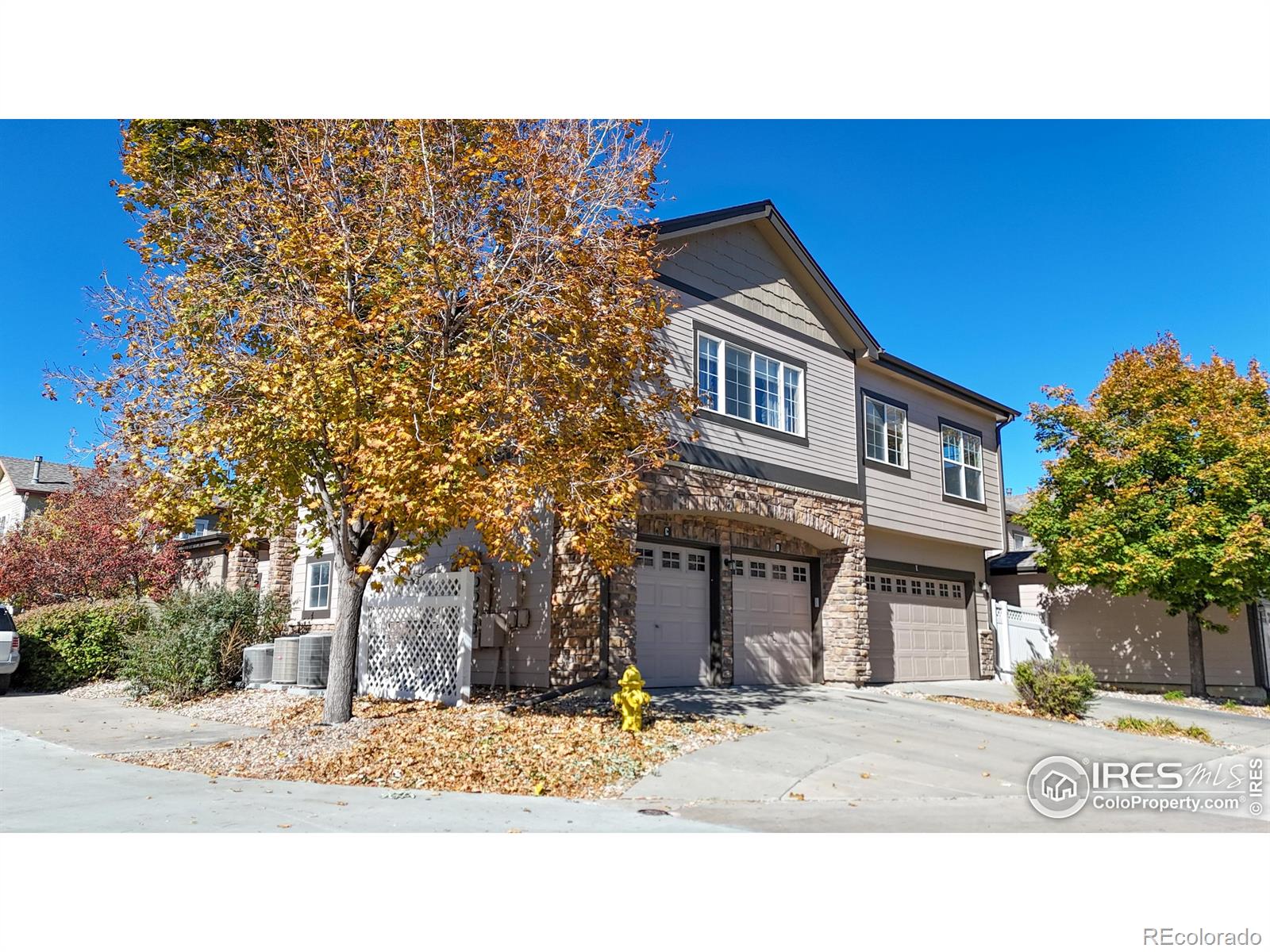 3839 Steelhead Street C