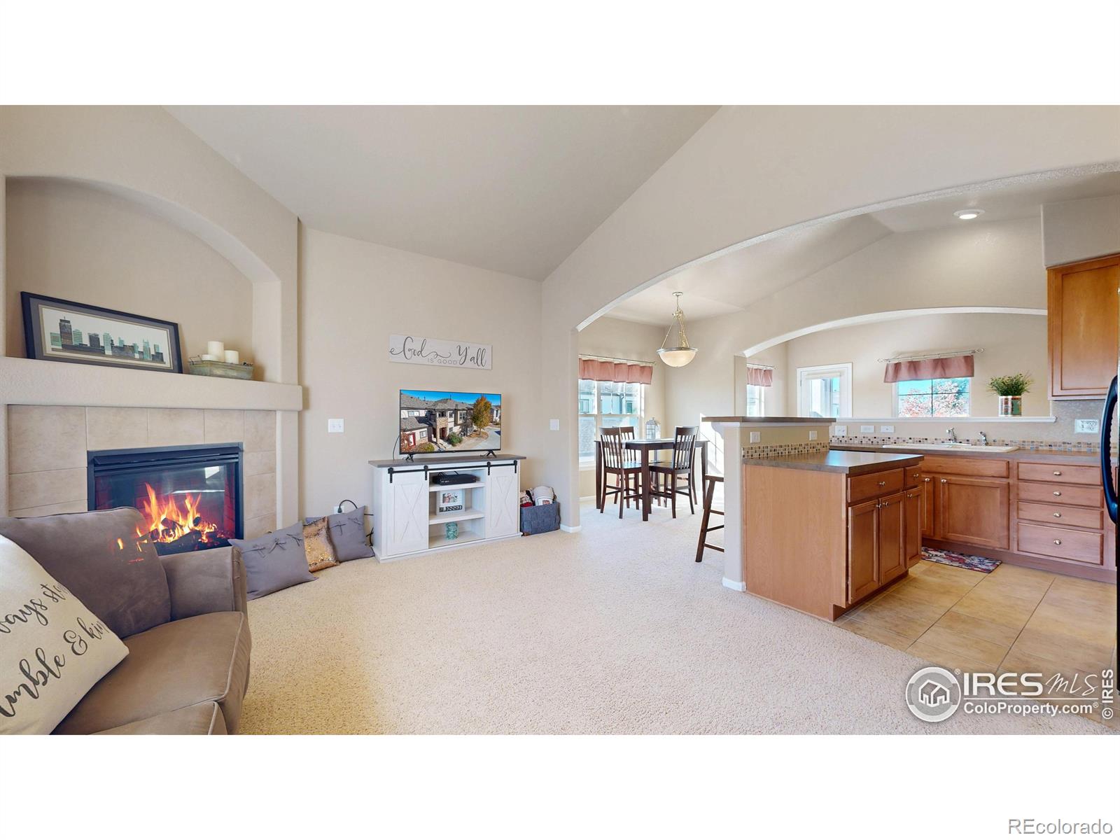 3839 Steelhead Street C