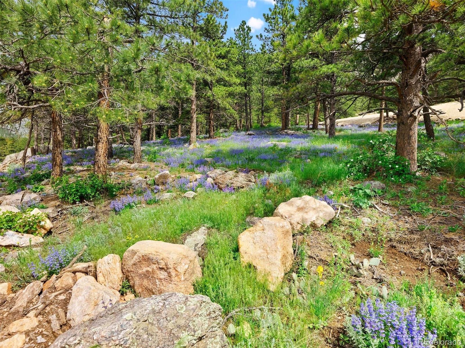 7 Canyon Pines Drive