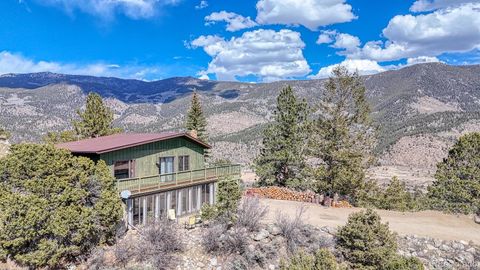37820 Twin Kopie Drive Buena Vista CO 81211