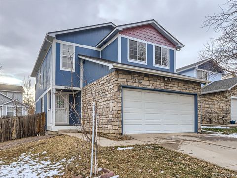 8069 Clay Drive, Westminster, CO 80031 - #: 6306575