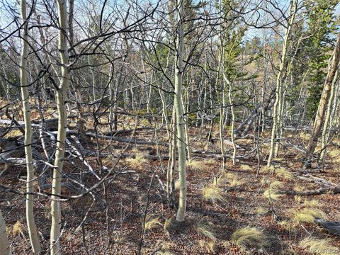 93 Wyandot Way Como CO 80432